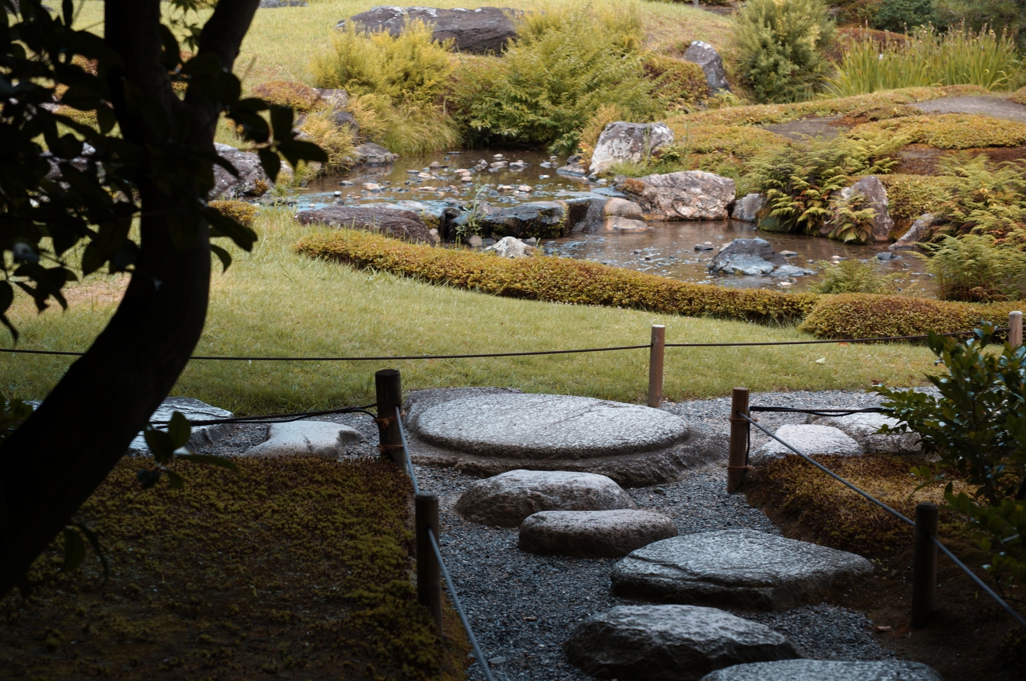 飛石の先に庭の景色が広がる風景